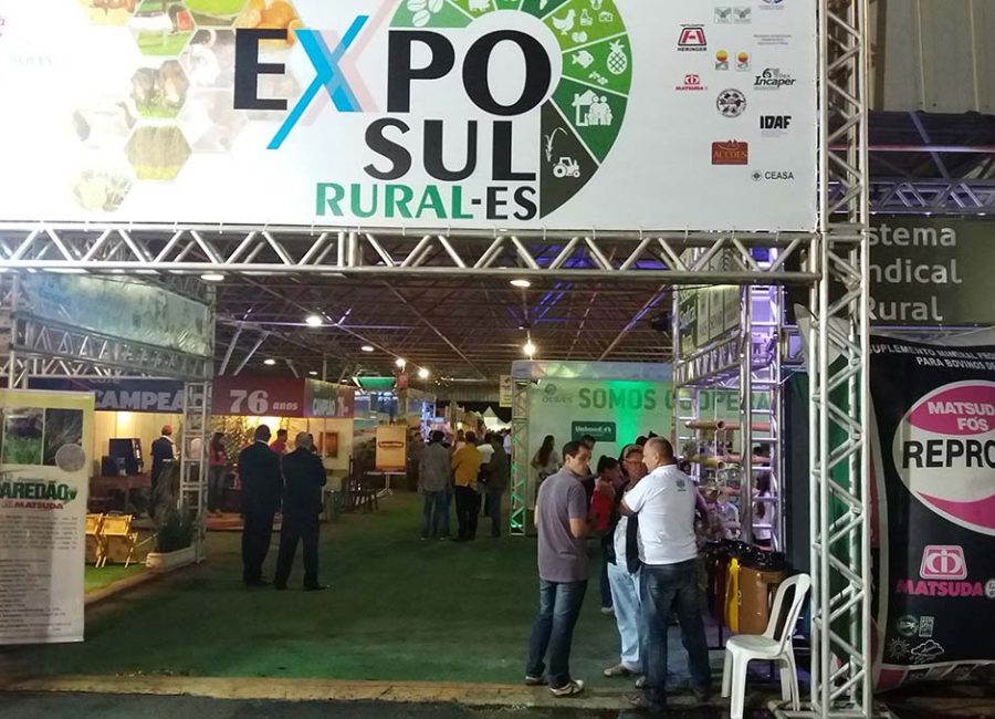 Exposul 2017