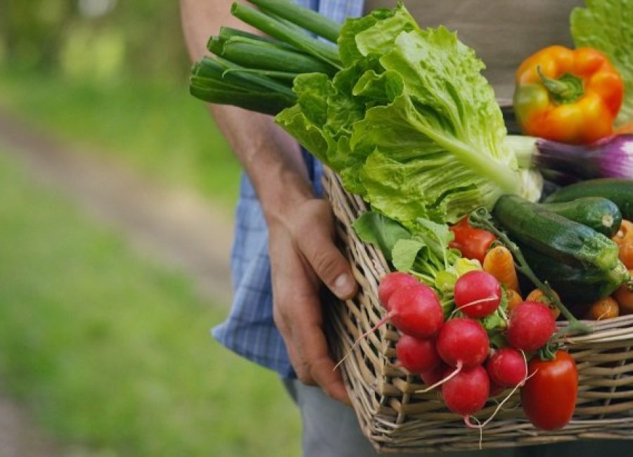 O objetivo é contemplar projetos de agricultura, entre outros