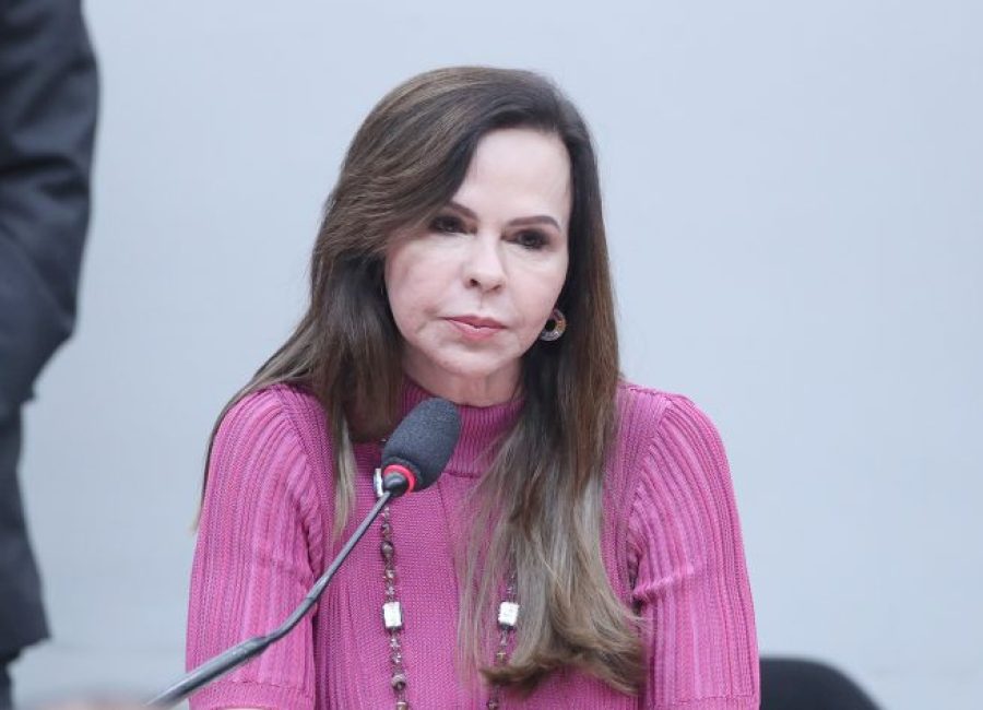 Foto: Bruno Spada / Câmara dos Deputadas