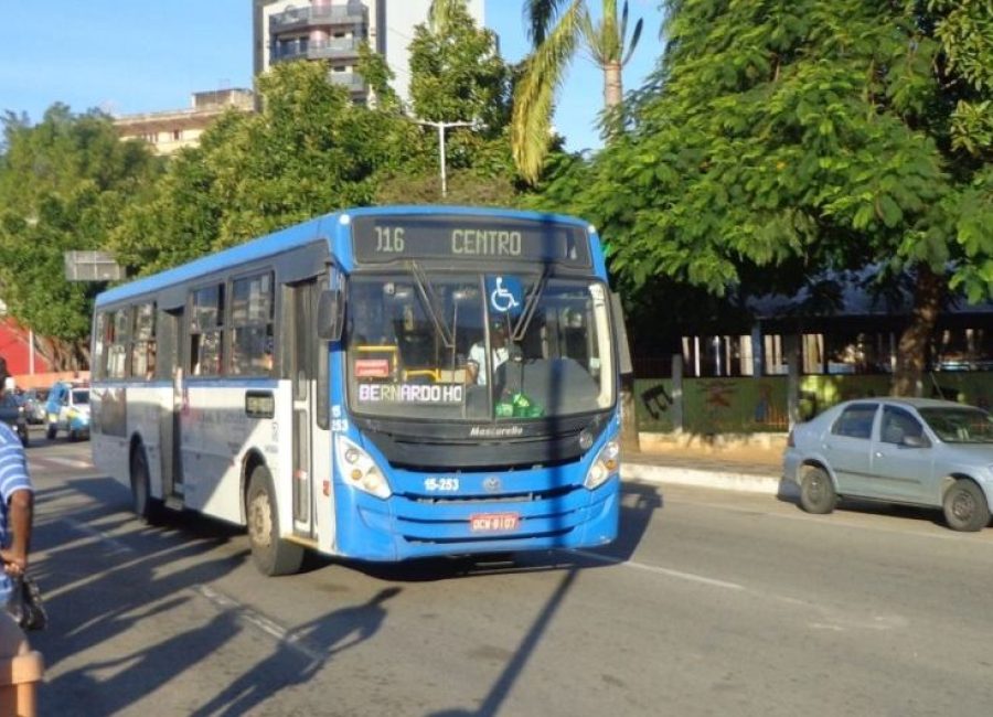 onibus-ibc-768x589-1-768x530