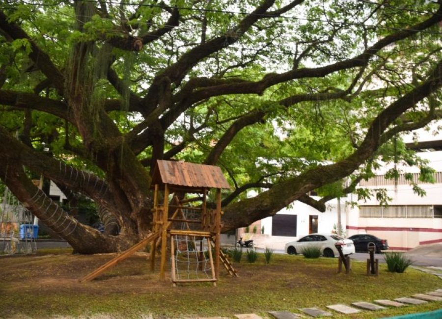 praça dos macacos