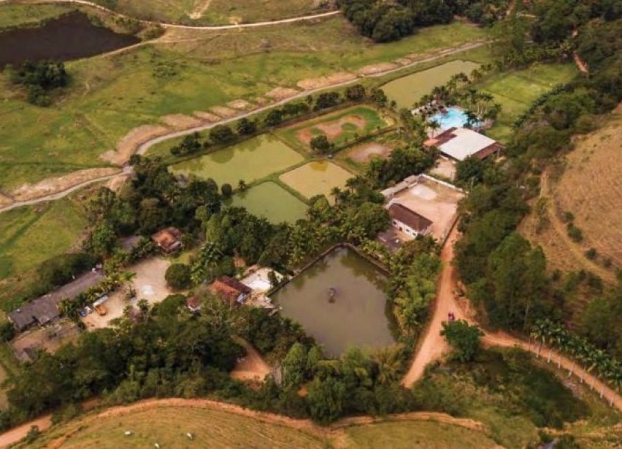 whatsapp-image-2023-06-21-at-17.18.39-1-920x484-1