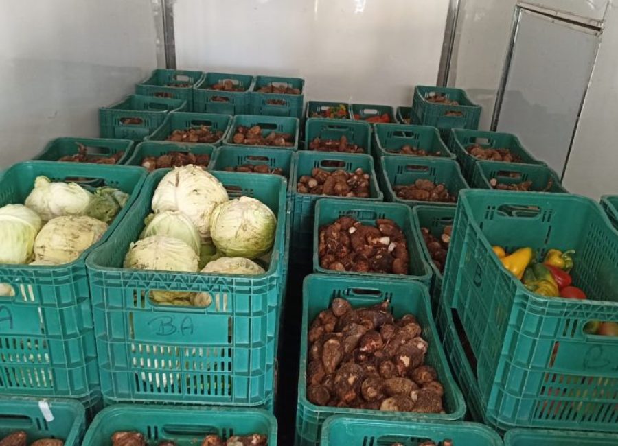 whatsapp-image-2023-11-09-at-12.55.30-920x530-1